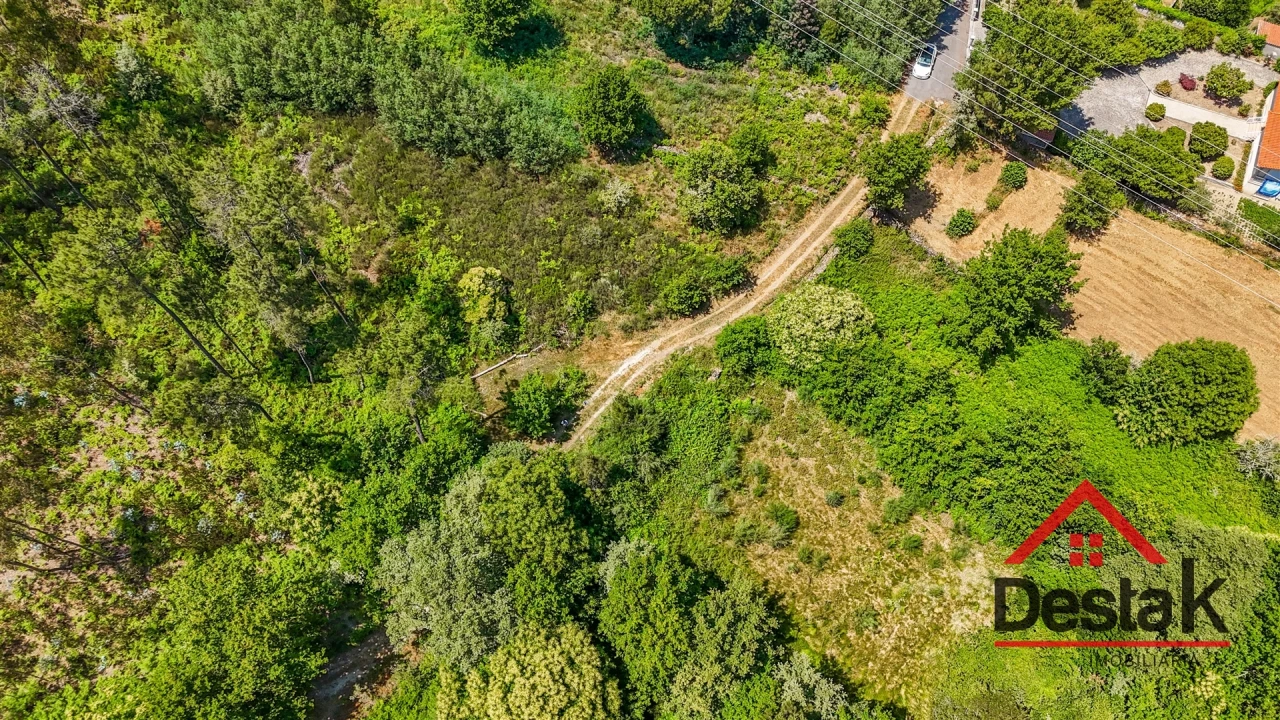 Terreno para Venda em Bodiosa Foto 6
