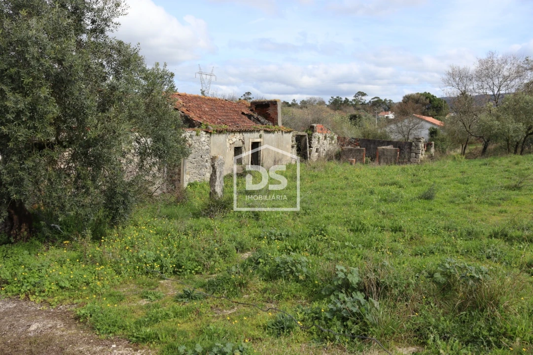 Moradia T3 para Venda em Aljubarrota Foto 3