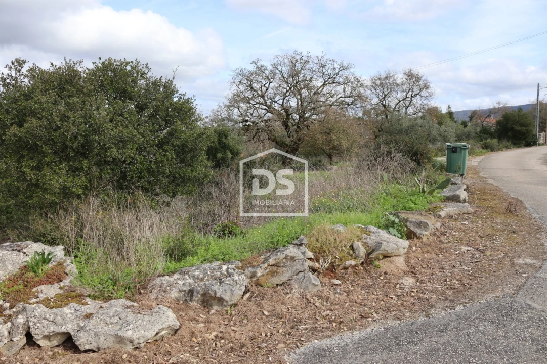 Moradia T3 para Venda em Aljubarrota Foto 5