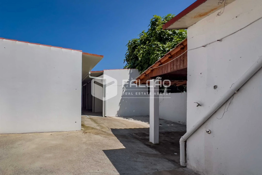 Moradia T5 para Venda em Golegã Foto 3