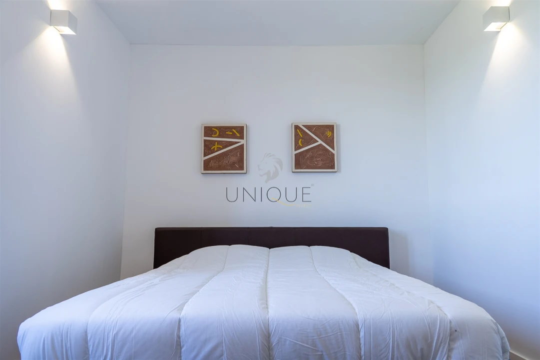 Moradia T6 para Venda em Pinheiro da Bemposta, Travanca e Palmaz Foto 17