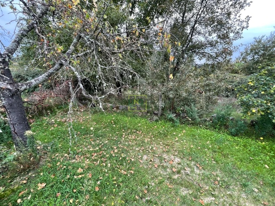 Quinta T1 para Venda em Capinha Foto 55