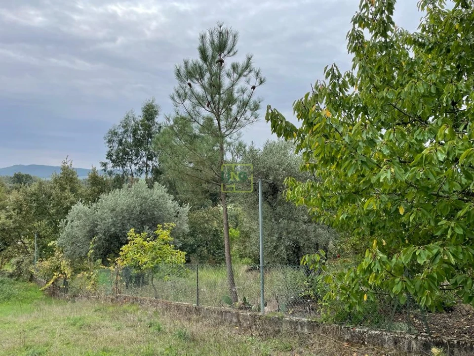 Quinta T1 para Venda em Capinha Foto 32