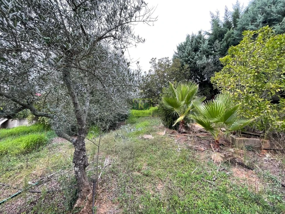 Quinta T1 para Venda em Capinha Foto 75