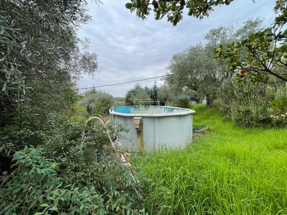 Quinta T1 para Venda em Capinha Foto 34