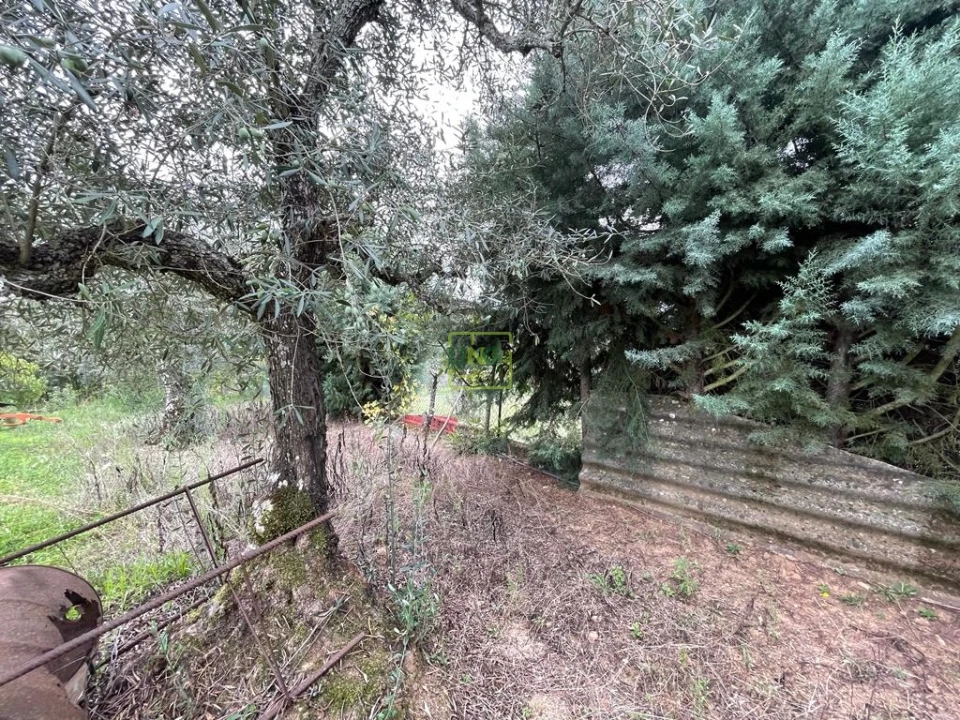 Quinta T1 para Venda em Capinha Foto 82