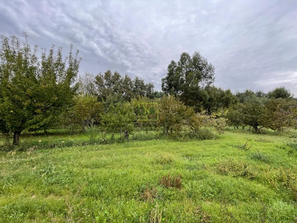 Quinta T1 para Venda em Capinha Foto 49