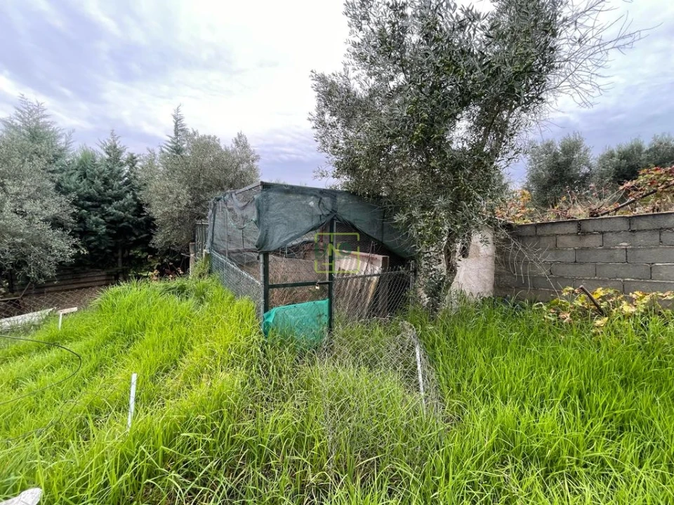 Quinta T1 para Venda em Capinha Foto 90