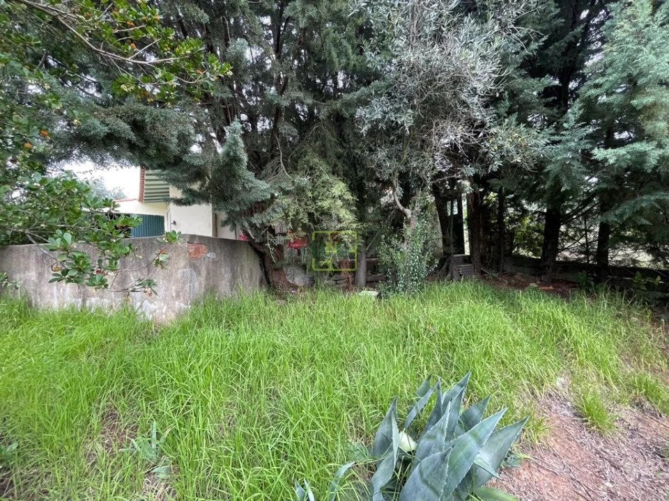 Quinta T1 para Venda em Capinha Foto 33