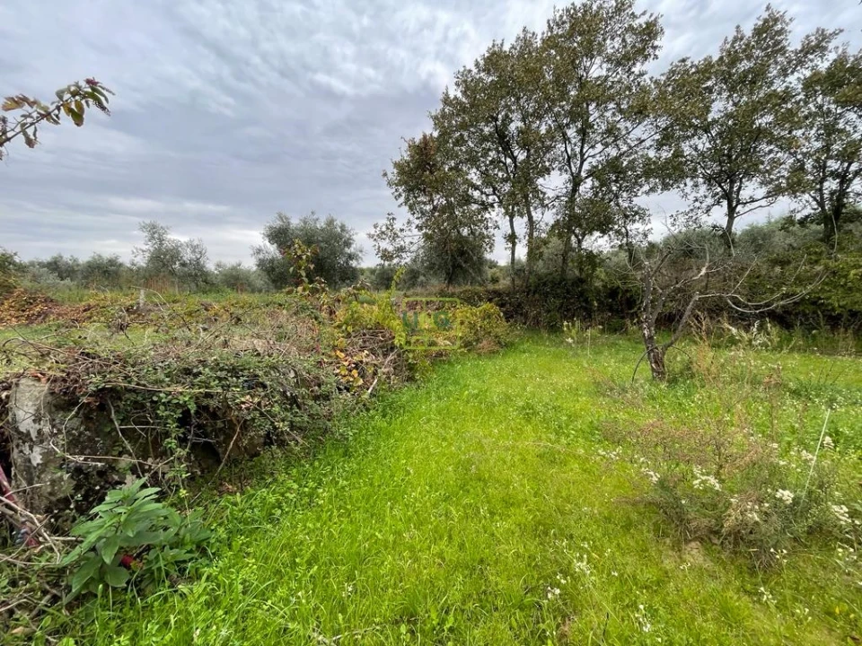 Quinta T1 para Venda em Capinha Foto 47