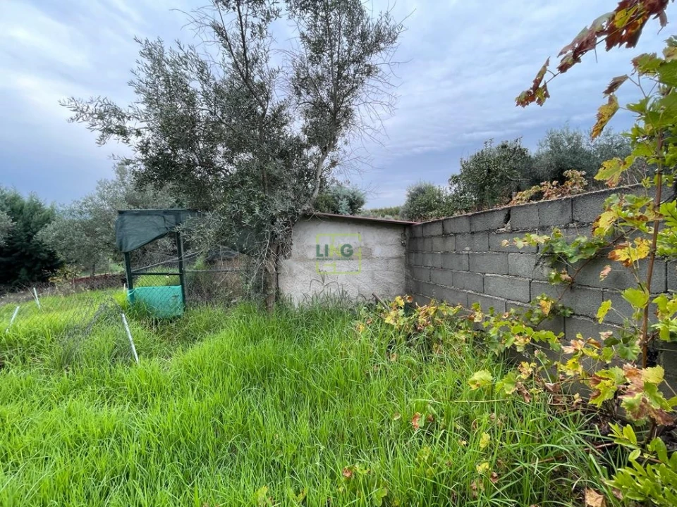 Quinta T1 para Venda em Capinha Foto 38