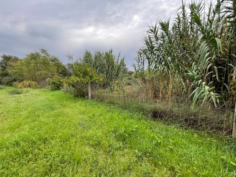 Quinta T1 para Venda em Capinha Foto 48