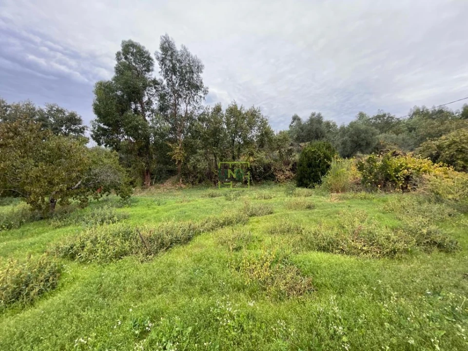 Quinta T1 para Venda em Capinha Foto 62