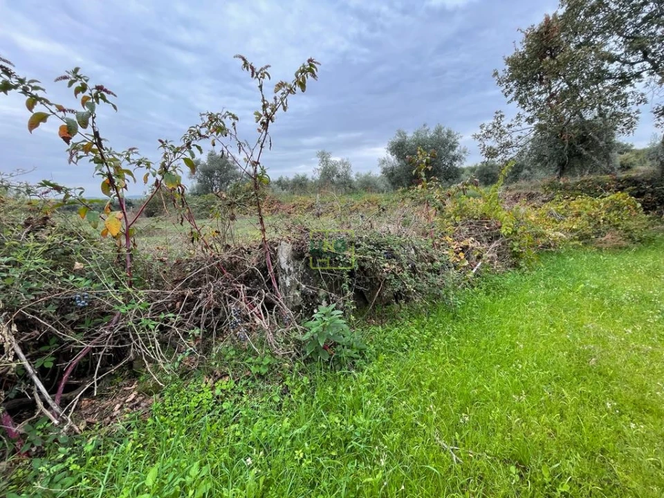 Quinta T1 para Venda em Capinha Foto 46