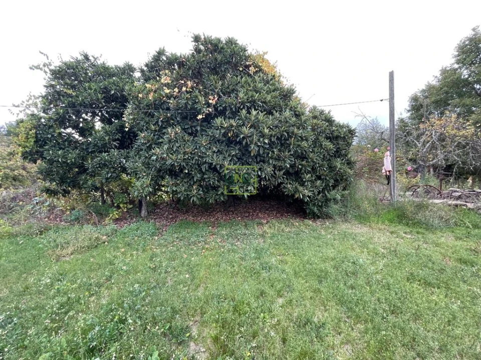 Quinta T1 para Venda em Capinha Foto 59