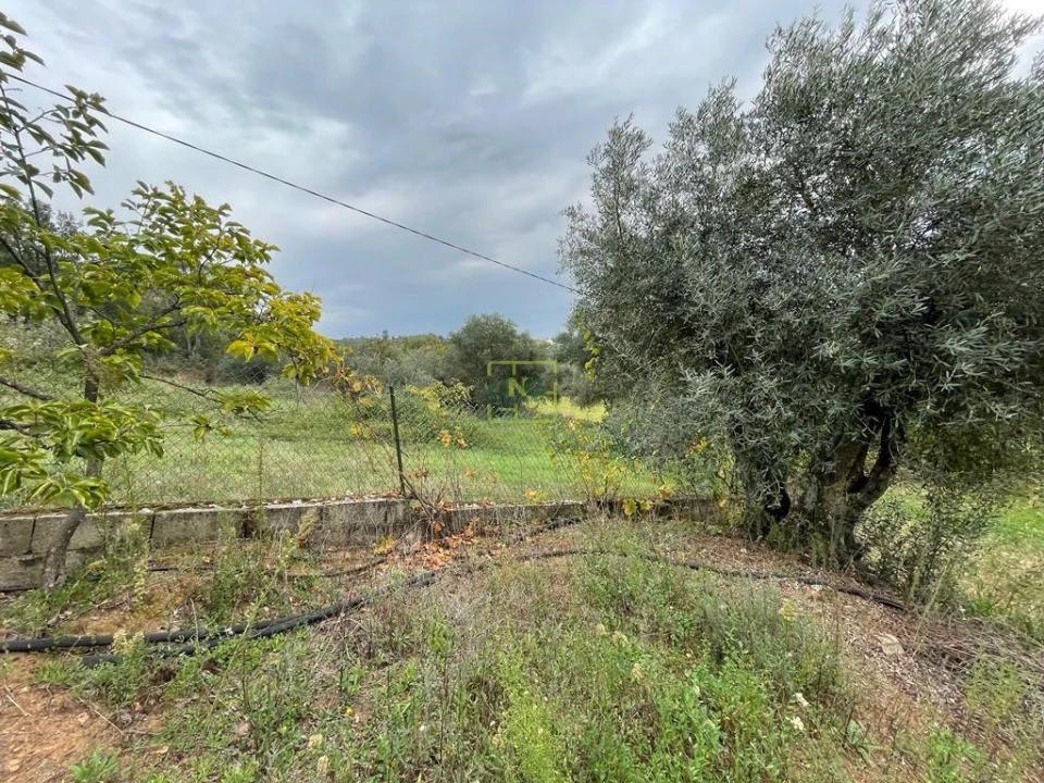 Quinta T1 para Venda em Capinha Foto 72