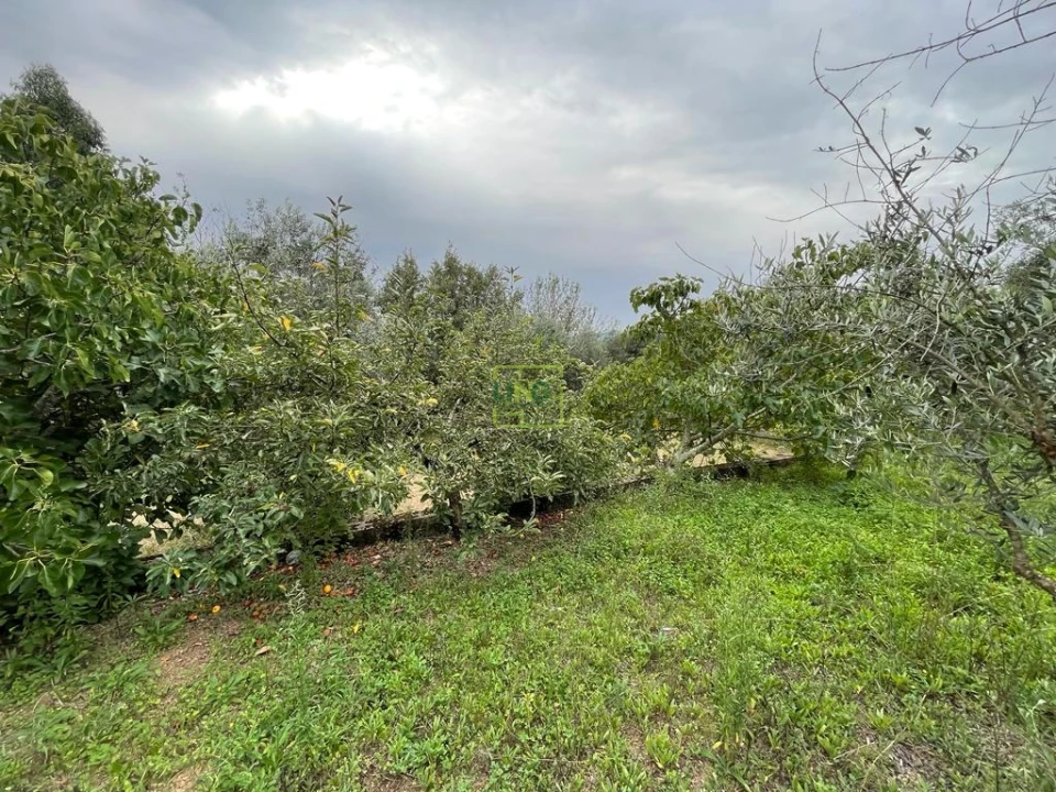 Quinta T1 para Venda em Capinha Foto 78