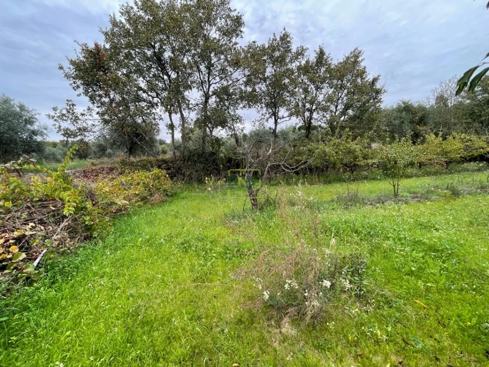 Quinta T1 para Venda em Capinha Foto 45