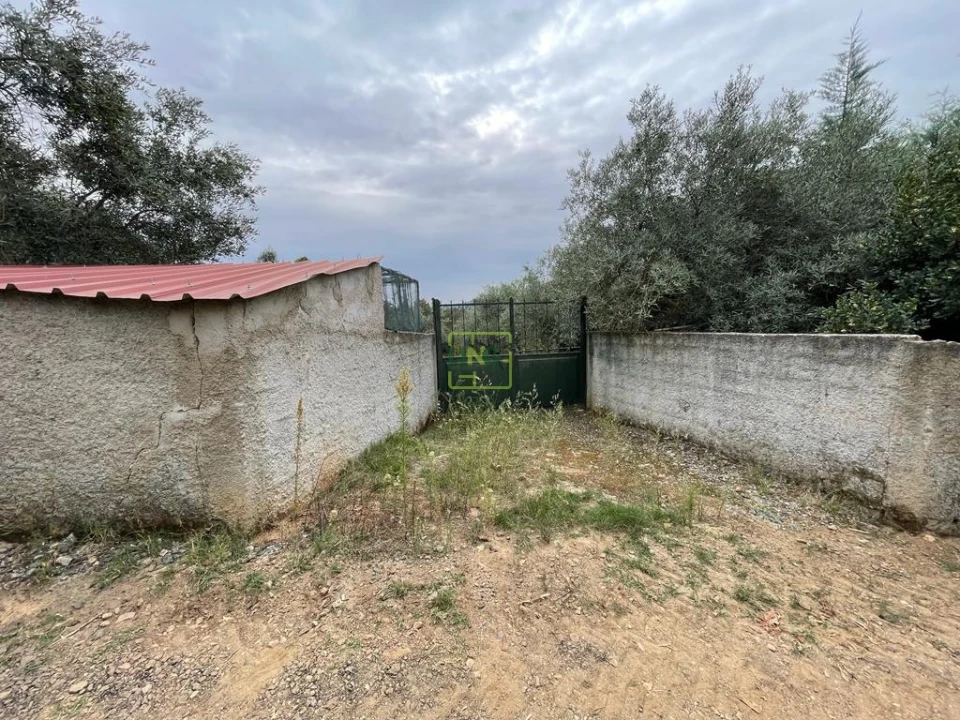 Quinta T1 para Venda em Capinha Foto 2