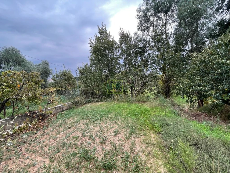 Quinta T1 para Venda em Capinha Foto 69