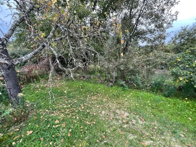 Quinta T1 para Venda em Capinha Foto 55