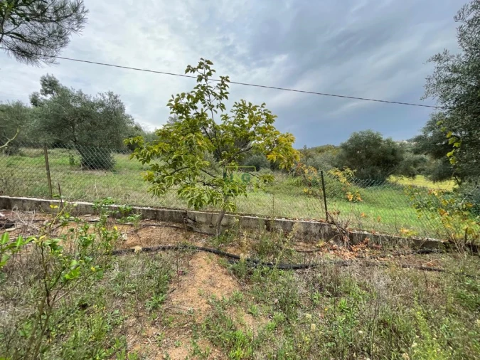 Quinta T1 para Venda em Capinha Foto 73