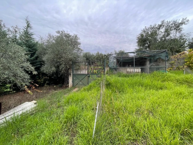 Quinta T1 para Venda em Capinha Foto 86