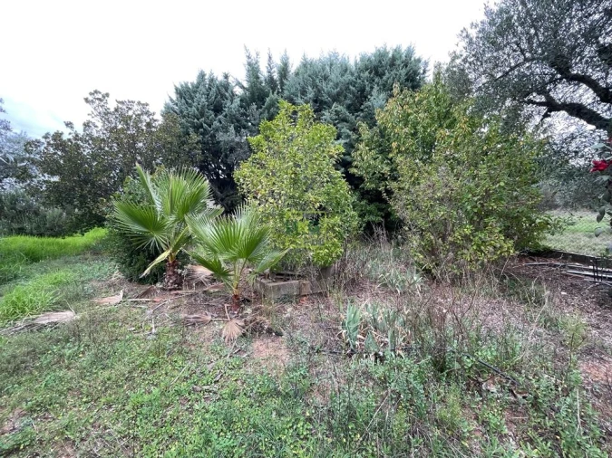 Quinta T1 para Venda em Capinha Foto 76