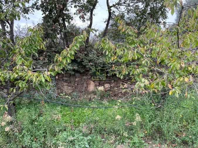 Quinta T1 para Venda em Capinha Foto 42