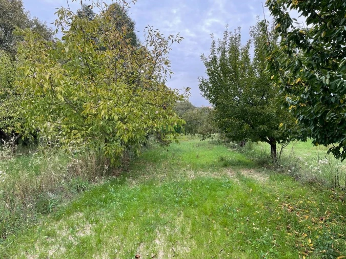 Quinta T1 para Venda em Capinha Foto 41