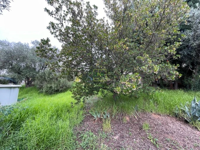 Quinta T1 para Venda em Capinha Foto 35