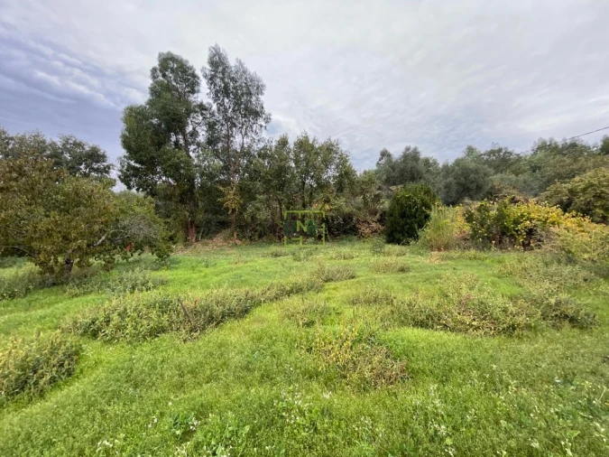 Quinta T1 para Venda em Capinha Foto 62