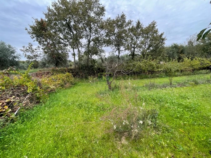 Quinta T1 para Venda em Capinha Foto 45