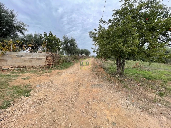 Quinta T1 para Venda em Capinha Foto 93