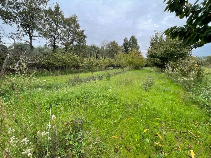 Quinta T1 para Venda em Capinha Foto 44