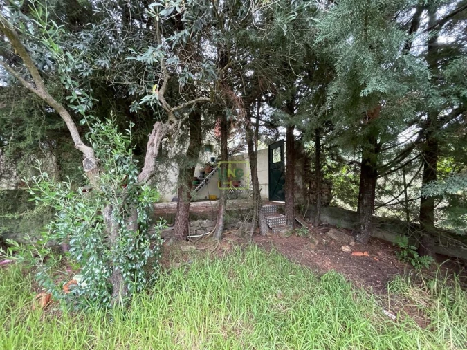 Quinta T1 para Venda em Capinha Foto 31