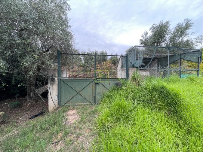 Quinta T1 para Venda em Capinha Foto 85