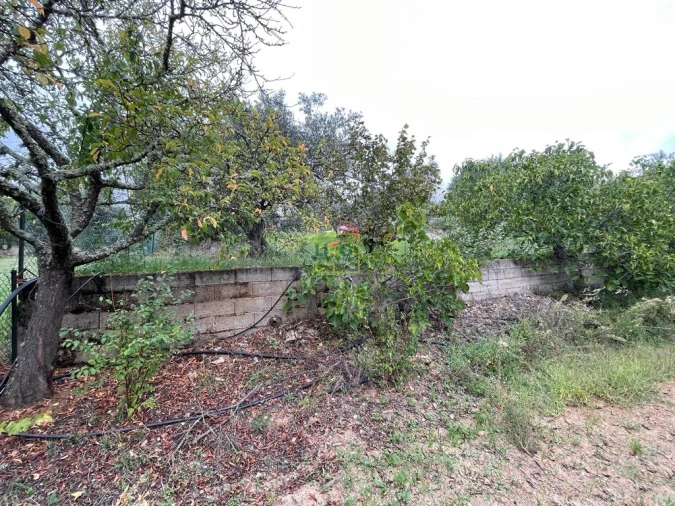 Quinta T1 para Venda em Capinha Foto 65