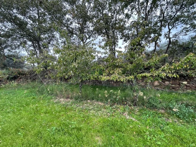 Quinta T1 para Venda em Capinha Foto 43