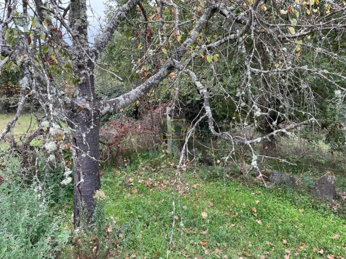 Quinta T1 para Venda em Capinha Foto 58