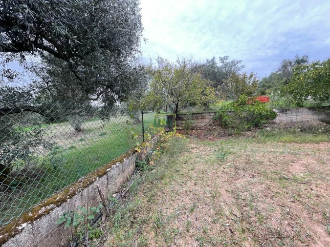 Quinta T1 para Venda em Capinha Foto 66