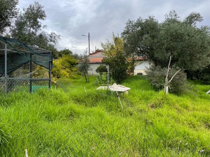 Quinta T1 para Venda em Capinha Foto 84