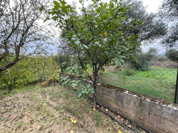 Quinta T1 para Venda em Capinha Foto 67