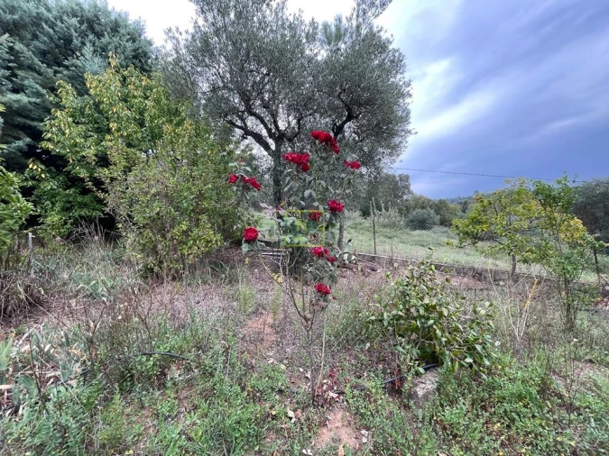 Quinta T1 para Venda em Capinha Foto 74