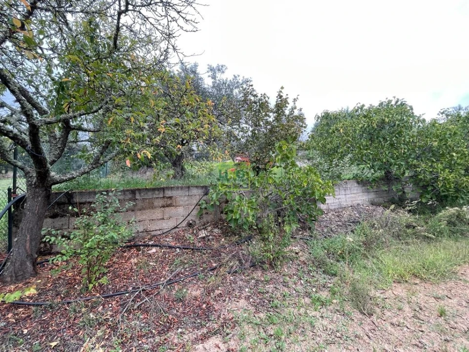 Quinta T1 para Venda em Capinha Foto 65