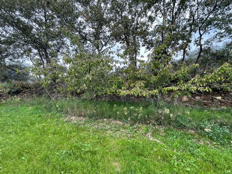 Quinta T1 para Venda em Capinha Foto 43