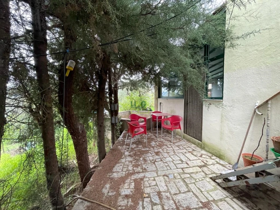 Quinta T1 para Venda em Capinha Foto 22