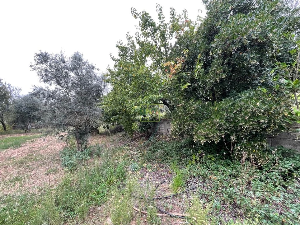 Quinta T1 para Venda em Capinha Foto 70