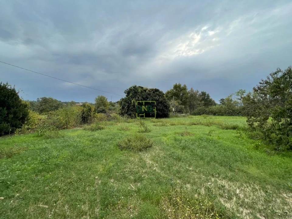 Quinta T1 para Venda em Capinha Foto 63