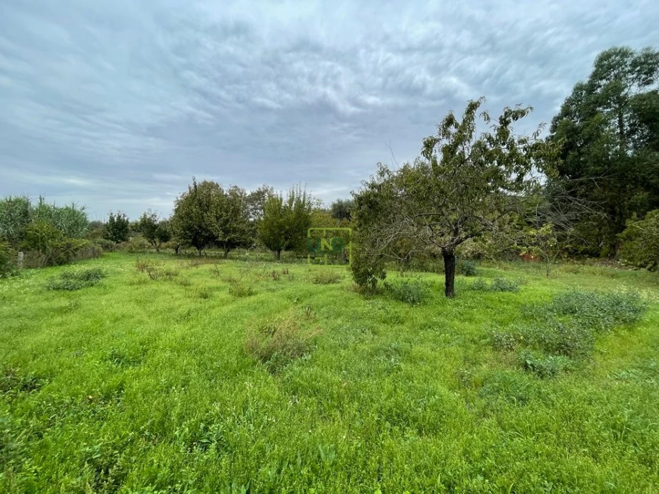 Quinta T1 para Venda em Capinha Foto 50